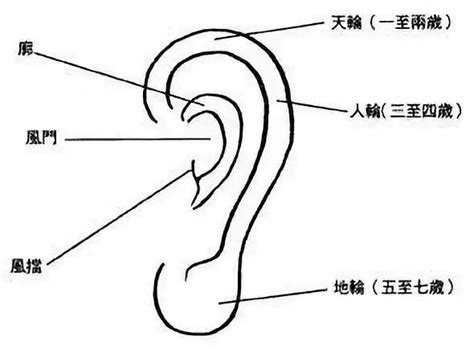 耳垂有线面相|五官面相学：耳朵看相，耳朵的形状及吉凶断法